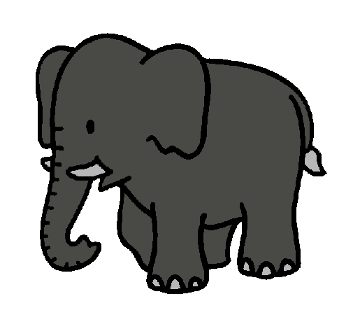 elefante