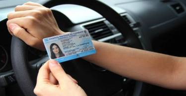 licencia-de-conducir-al-volante